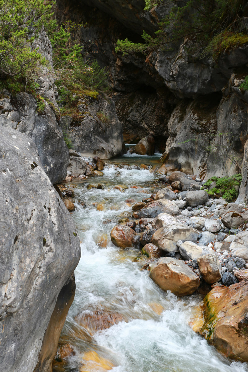 溪流潺潺 瀑布飞溅，我们还在山谷的底部，今天的目标是爬到山谷的尽头，垭口附近。