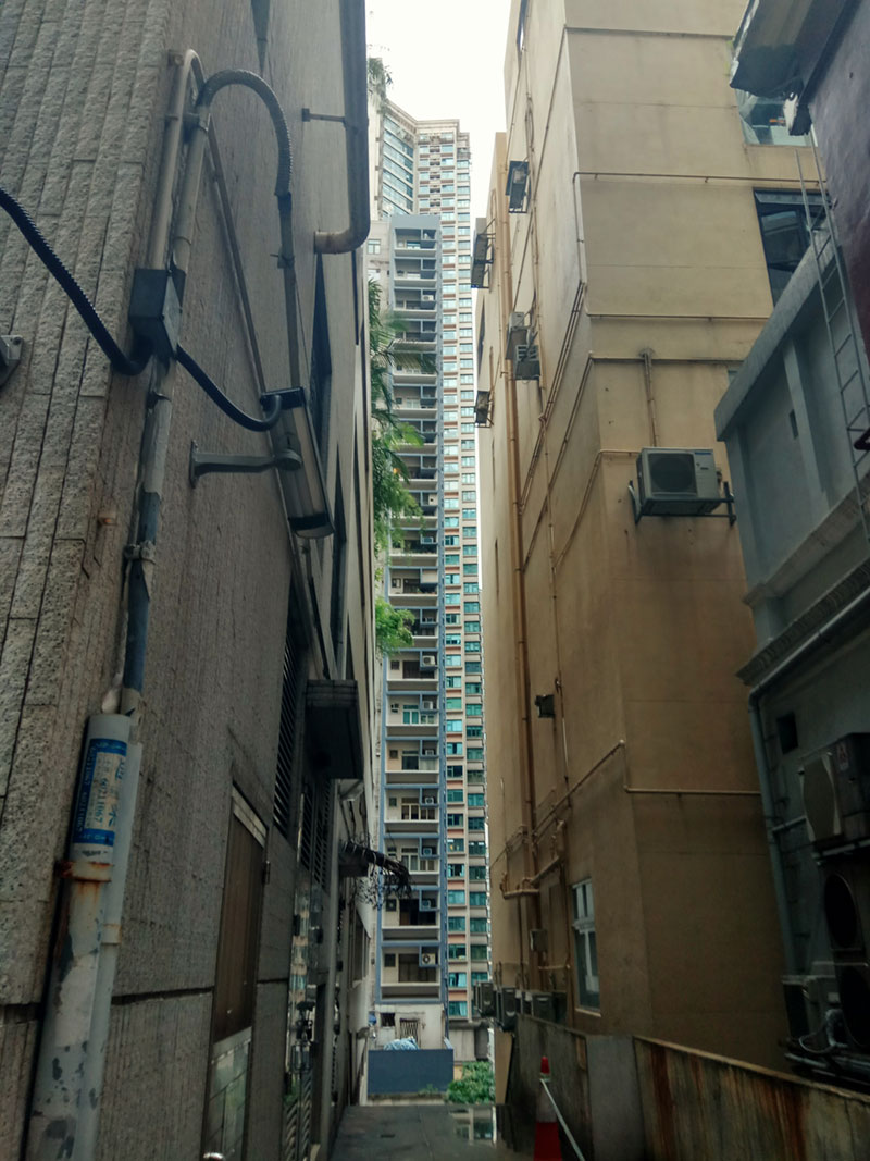 香港是立体的，寸土寸金，高楼感觉也在努力生长，只为见到阳光。